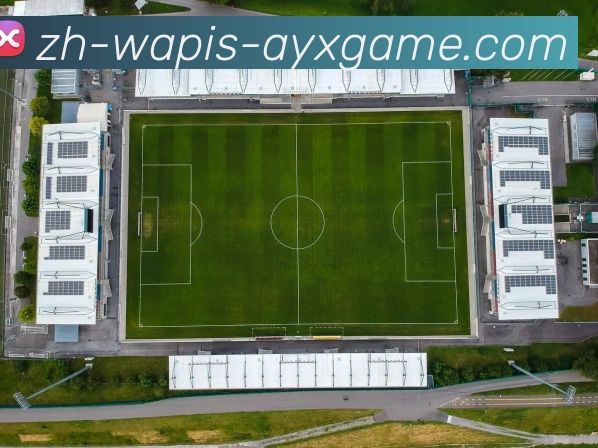 爱游戏平台生态图