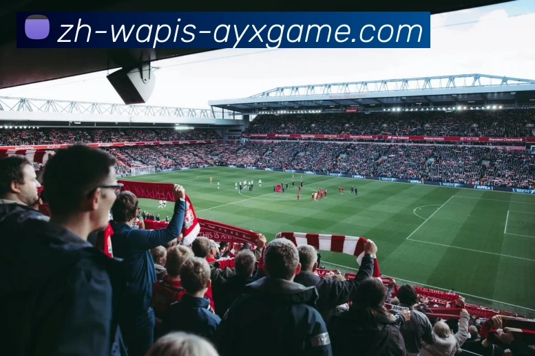 爱游戏APP 封面图