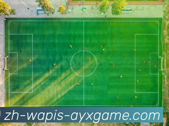 数据防护可视化